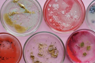 化妆品微生物测试