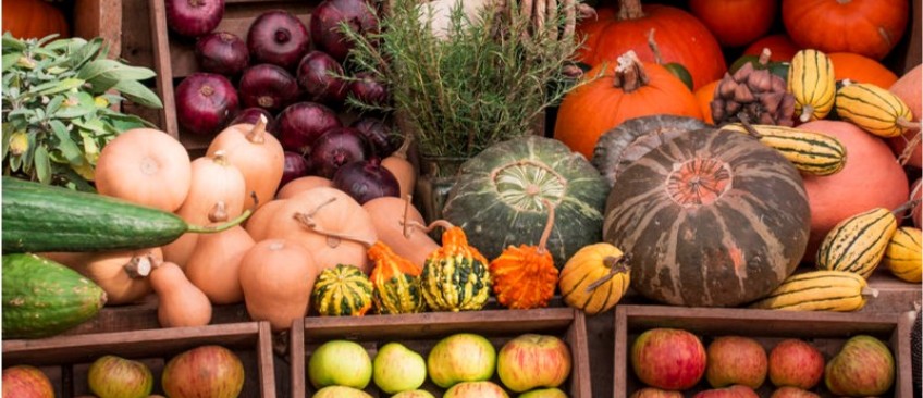 食品物种鉴定检测服务
