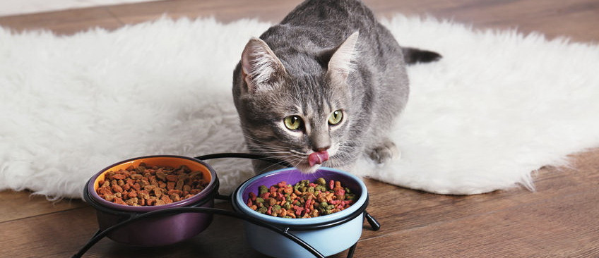 AAFCO标准检测（犬/猫粮）