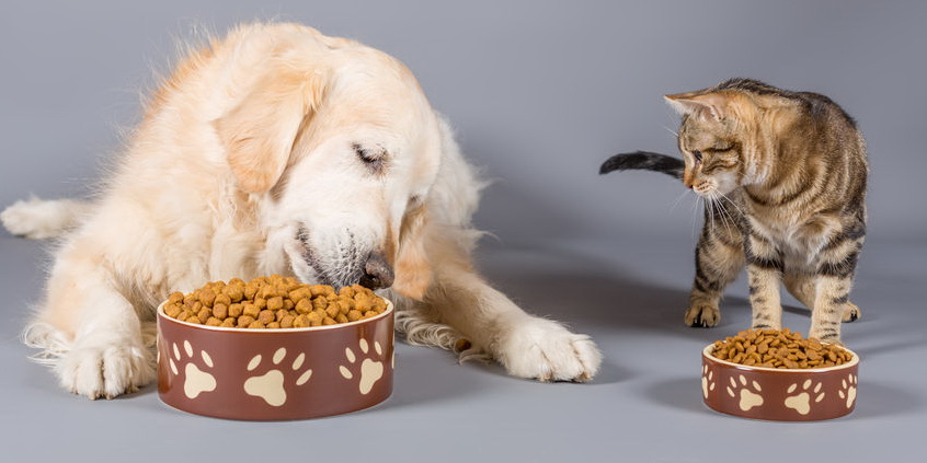 农业农村部20号公号卫生指标