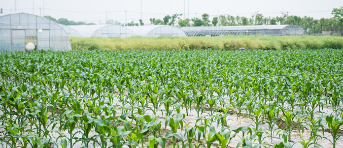 农用地质量检测