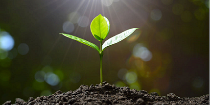 土壤与固废检测与分析