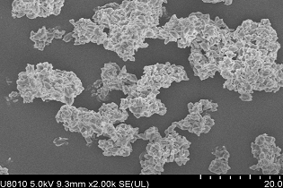 淀粉粉末检测——客户检测案例