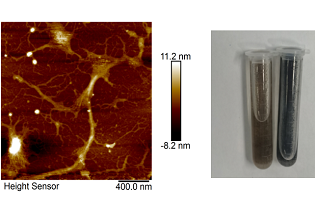 静电力显微镜测试——客户检测案例