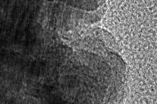 生物TEM测试——客户检测案例