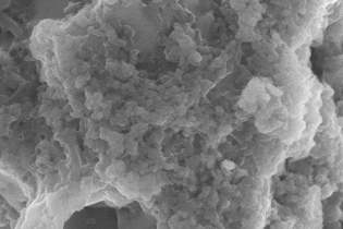 生物碳材料测试——客户检测案例